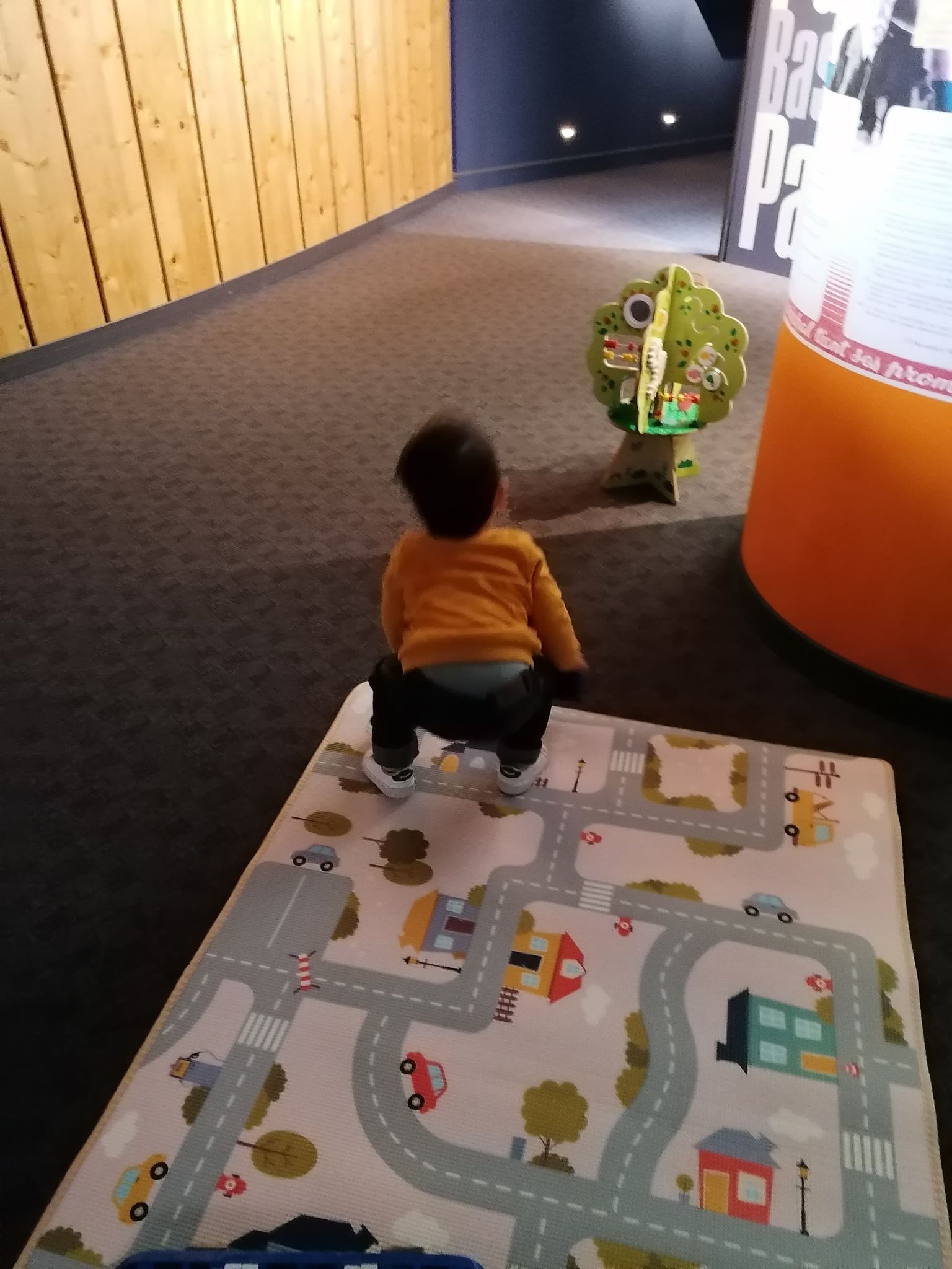 Un enfant de dos sur un tapis dans l'Espace Georges Brassens
