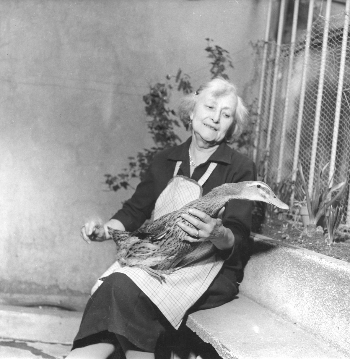 1972 - Jeanne Le Bonniec et sa cane au 7 impasse Florimont (XIVème)